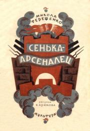 Книга - Сенька-арсеналец.  Николай Иванович Терещенко  - прочитать полностью в библиотеке КнигаГо