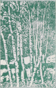 Книга - Зеленая книга леса.  Леонид Леонидович Семаго  - прочитать полностью в библиотеке КнигаГо