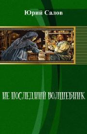 Книга - Не последний волшебник.  Юрий Борисович Салов  - прочитать полностью в библиотеке КнигаГо