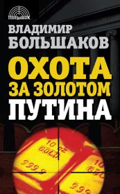 Книга - Охота за золотом Путина.  Владимир Викторович Большаков  - прочитать полностью в библиотеке КнигаГо
