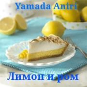 Книга - Лимон и ром.  Aniri Yamada  - прочитать полностью в библиотеке КнигаГо