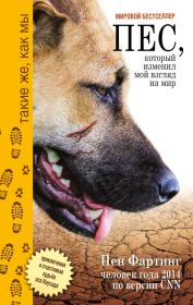 Книга - Пёс, который изменил мой взгляд на мир. Приключения и счастливая судьба пса Наузада.  Пен Фартинг  - прочитать полностью в библиотеке КнигаГо