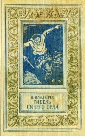 Книга - Гибель синего орла.  Виктор Николаевич Болдырев  - прочитать полностью в библиотеке КнигаГо