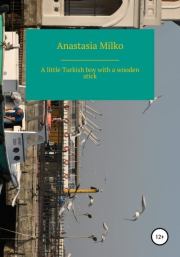 A little Turkish boy with a wooden stick. Anastasia Milko