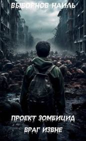 Враг извне. Наиль Эдуардович Выборнов