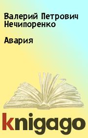 Книга - Авария.  Валерий Петрович Нечипоренко  - прочитать полностью в библиотеке КнигаГо