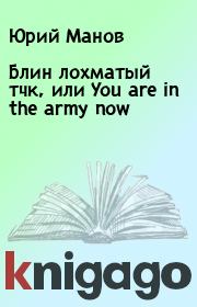 Книга - Блин лохматый тчк, или You are in the army now.  Юрий Манов  - прочитать полностью в библиотеке КнигаГо