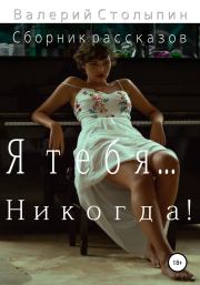 Книга - Я тебя… никогда!.  Валерий Столыпин  - прочитать полностью в библиотеке КнигаГо