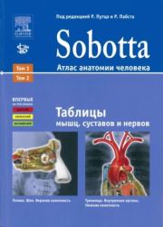 Sobotta. Атлас анатомии человека - таблицы мышц, суставов и нервов.  Коллектив авторов