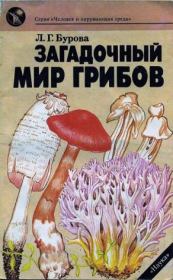 Загадочный мир грибов. Лидия Григорьевна Бурова