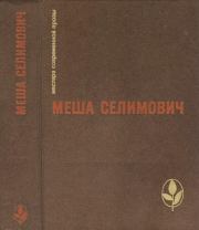 Книга - Избранное.  Меша Селимович  - прочитать полностью в библиотеке КнигаГо