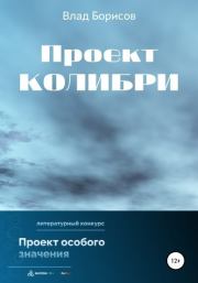 Книга - Проект Колибри.  Влад Борисов  - прочитать полностью в библиотеке КнигаГо