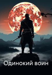 Книга - Одинокий воин.  Семен Витальевич Чумаченко  - прочитать полностью в библиотеке КнигаГо