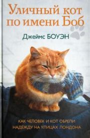 Книга - Уличный кот по имени Боб. Как человек и кот обрели надежду на улицах Лондона.  Джеймс Боуэн  - прочитать полностью в библиотеке КнигаГо