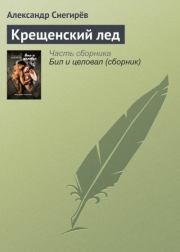 Книга - Крещенский лед.  Александр Снегирев  - прочитать полностью в библиотеке КнигаГо