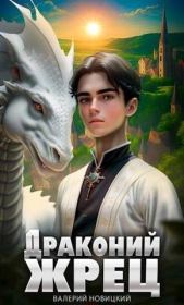 Книга - Драконий жрец.  Валерий Новицкий  - прочитать полностью в библиотеке КнигаГо