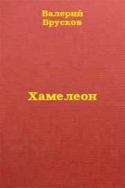 Книга - Хамелеон.  Валерий Петрович Брусков  - прочитать полностью в библиотеке КнигаГо
