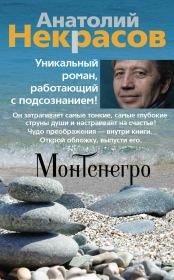 Книга - Монтенегро.  Анатолий Александрович Некрасов  - прочитать полностью в библиотеке КнигаГо
