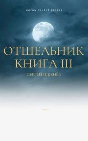 Книга - Отшельник Книга 3 (СИ).  Сергей Николаевич Шкенёв  - прочитать полностью в библиотеке КнигаГо