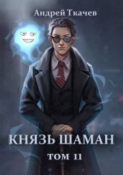 Князь шаман. Том 11 (СИ). Андрей Юрьевич Ткачев