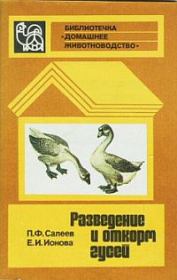 Разведение и откорм гусей. Павел Федорович Салеев
