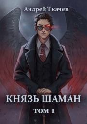 Книга - Князь шаман (СИ).  Андрей Сергеевич Ткачев  - прочитать полностью в библиотеке КнигаГо