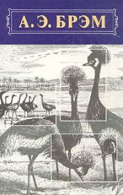 Книга - Жизнь животных, Том II, Птицы.  Альфред Эдмунд Брэм  - прочитать полностью в библиотеке КнигаГо