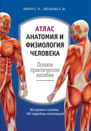 Атлас: анатомия и физиология человека. Полное практическое пособие. Елена Юрьевна Зигалова