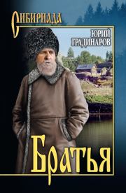Книга - Братья.  Юрий Иванович Градинаров  - прочитать полностью в библиотеке КнигаГо