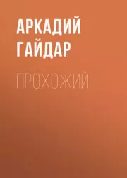 Книга - Прохожий.  Аркадий Петрович Гайдар  - прочитать полностью в библиотеке КнигаГо