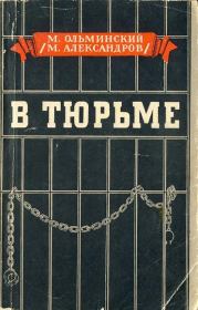 Книга - В тюрьме.  Михаил Степанович Ольминский  - прочитать полностью в библиотеке КнигаГо