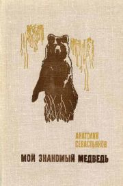 Книга - Мой знакомый медведь.  Анатолий Александрович Севастьянов  - прочитать полностью в библиотеке КнигаГо