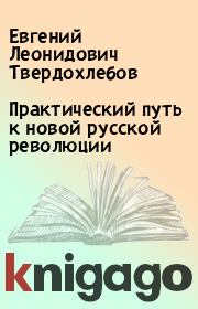 Практический путь к новой русской революции. Евгений Леонидович Твердохлебов