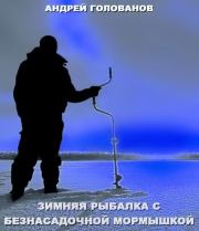 Книга - Зимняя рыбалка с безнасадочной мормышкой.  Андрей Голованов  - прочитать полностью в библиотеке КнигаГо