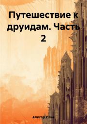 Книга - Путешествие к друидам. Часть 2.  Илья Алигор  - прочитать полностью в библиотеке КнигаГо