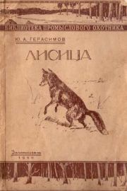Лисица. Юрий Анатольевич Герасимов