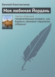 Книга - Моя любимая Йордань.  Евгений Михайлович Константинов  - прочитать полностью в библиотеке КнигаГо