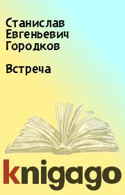 Книга - Встреча.  Станислав Евгеньевич Городков  - прочитать полностью в библиотеке КнигаГо