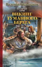 Книга - Викинг туманного берега.  Валерий Петрович Большаков  - прочитать полностью в библиотеке КнигаГо
