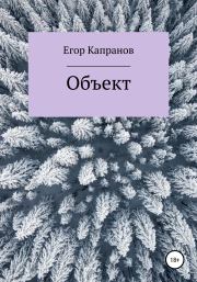 Книга - Объект.  Егор Капранов  - прочитать полностью в библиотеке КнигаГо