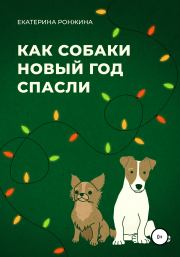 Книга - Как собаки Новый год спасли.  Екатерина Ронжина  - прочитать полностью в библиотеке КнигаГо