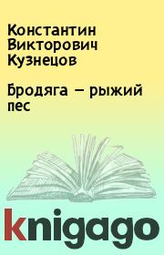 Книга - Бродяга — рыжий пес.  Константин Викторович Кузнецов  - прочитать полностью в библиотеке КнигаГо