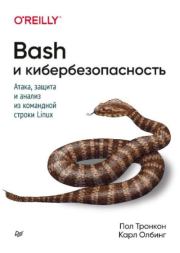 Книга - Bash и кибербезопасность: атака, защита и анализ из командной строки Linux.  Пол Тронкон , Карл Олбинг  - прочитать полностью в библиотеке КнигаГо