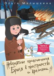 Книга - Брысь или приключения одного М.Н.С..  Ольга Малышкина  - прочитать полностью в библиотеке КнигаГо