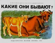 Какие они бывают?. Марина Александровна Зарецкая