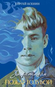Заметался пожар голубой. Сергей Александрович Есенин