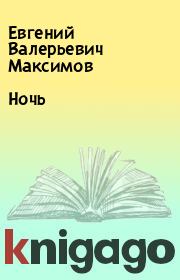 Книга - Ночь.  Евгений Валерьевич Максимов  - прочитать полностью в библиотеке КнигаГо