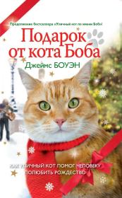 Книга - Подарок от кота Боба. Как уличный кот помог человеку полюбить Рождество.  Джеймс Боуэн  - прочитать полностью в библиотеке КнигаГо