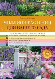 Книга - Миллион растений для вашего сада.  Галина Александровна Кизима  - прочитать полностью в библиотеке КнигаГо