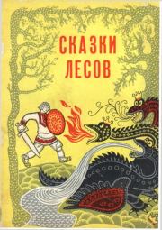 Книга - Сказки лесов.  Виталий Александрович Акцорин  - прочитать полностью в библиотеке КнигаГо